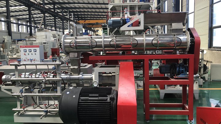 dry type Crappie feed pelletizer machine in South Korea
